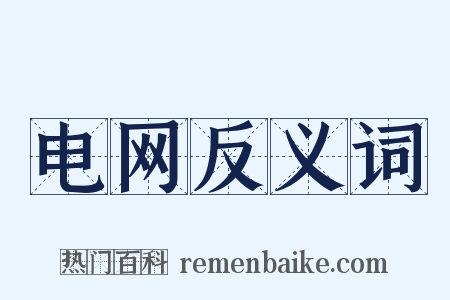 电网反义词是什么意思的图片